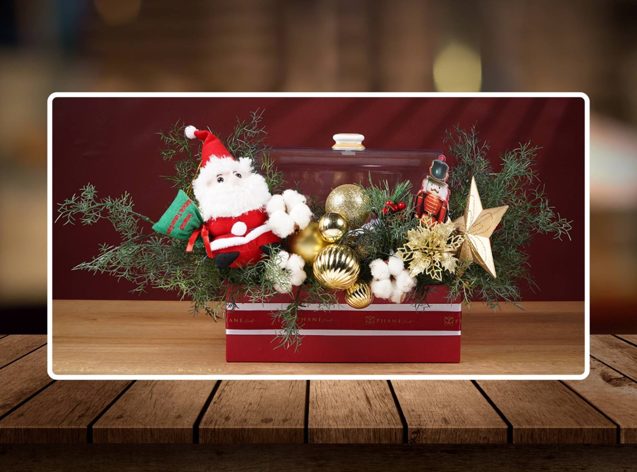 2025 HAMPERS NATAL DAISY DELIGHT MAGNOLIA